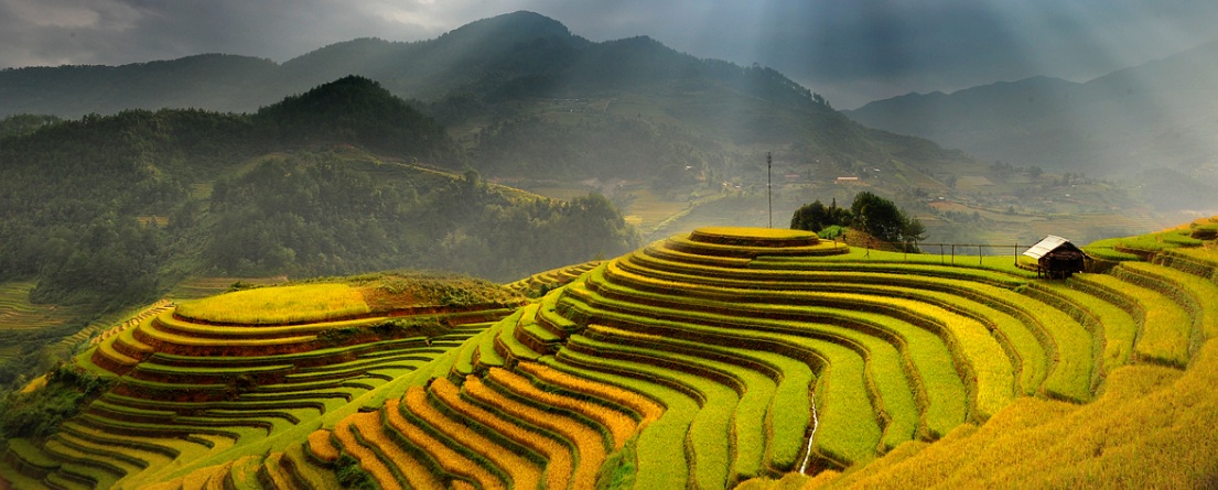 site rencontre vietnam
