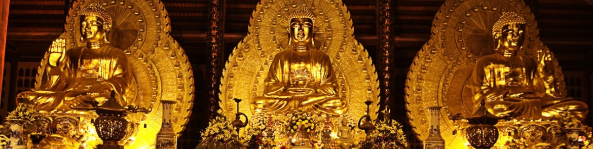 img-culture