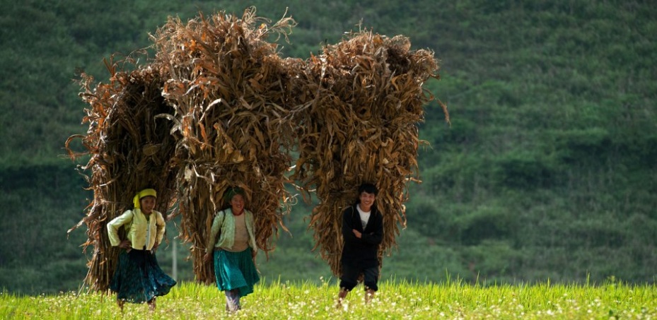 photo-circuit-vietnam-tel-qu-il-est