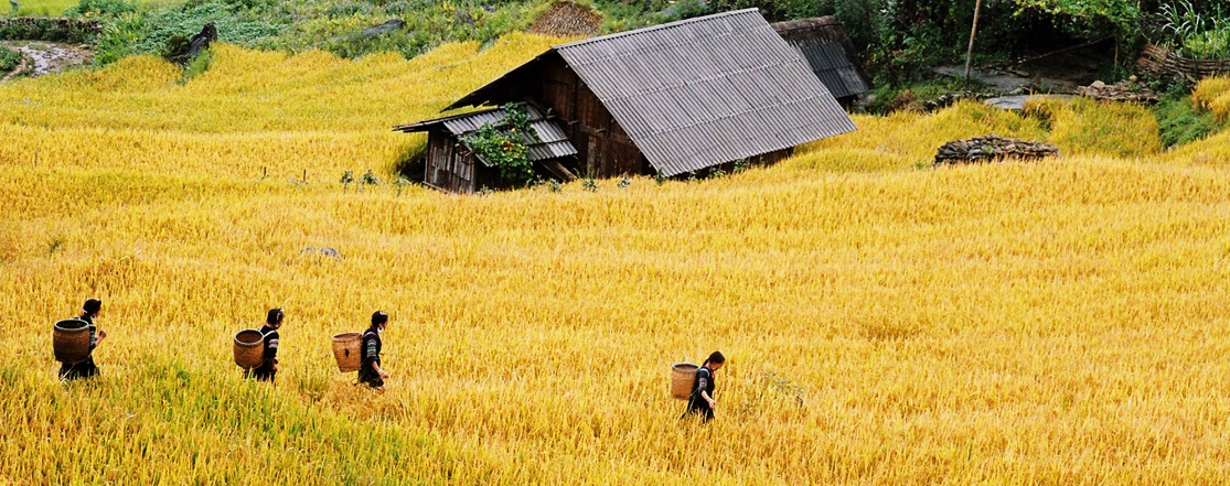 ethnies-du-vietnam