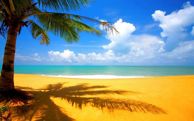 voyage-a-danang-vietnam