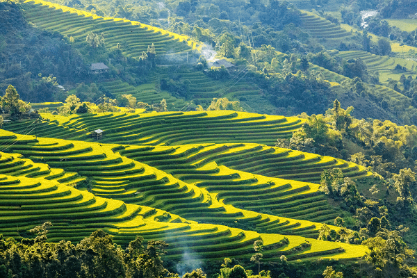 Rizieres Du Vietnam Meilleurs Sites Et Saison Horizon Vietnam Voyage