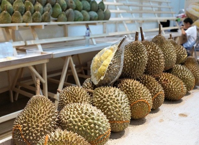 Durian-vietnam Durian-vietnam