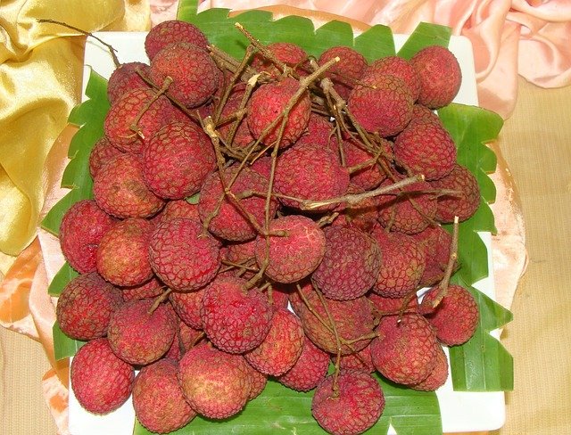 lychee-vietnam lychee-vietnam