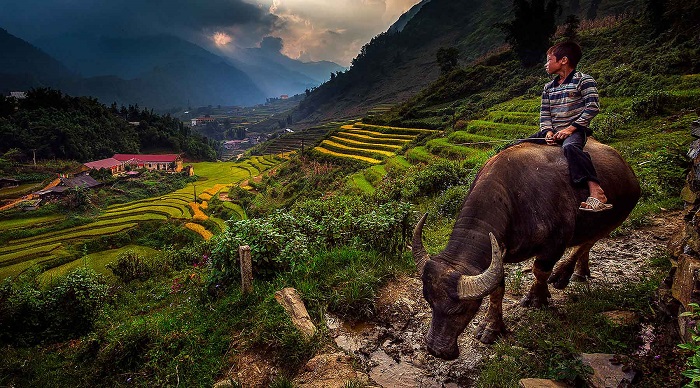 cat-cat-village-sapa