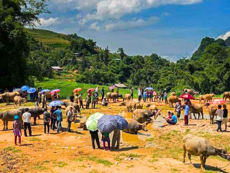 Scène typique du marché de Sin Cheng - marchés ethniques à Sapa