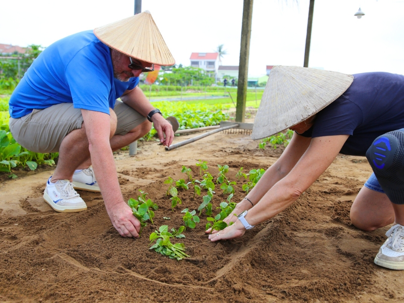 Les visiteurs découvrent les étapes de la culture des légumes sous la guidance des habitants.