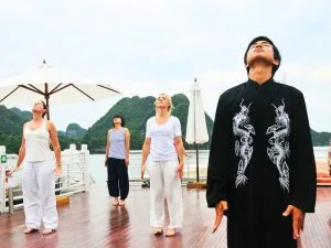 Séance de Taïchi