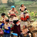 bac ha vietnam