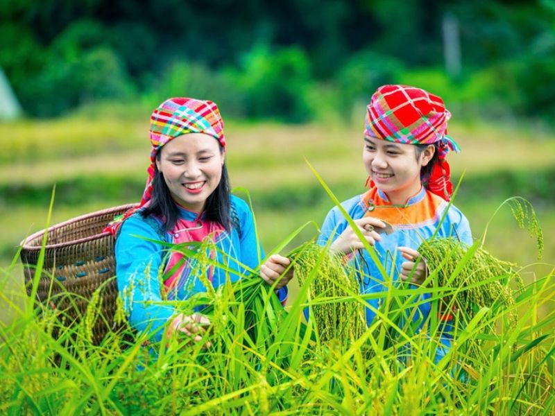Bac Ha