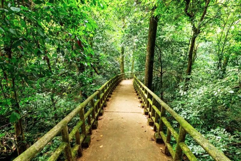 Ninh Binh – Parc Cuc Phuong & Balade en vélo au sein des villages en rizière (B. L)