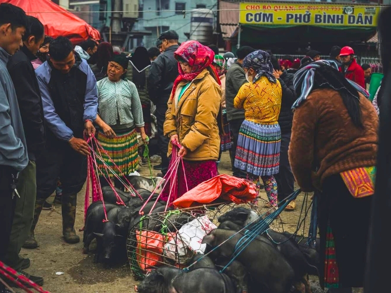 Le marché de Meo Vac