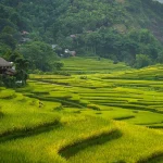 Pu Luong vietnam