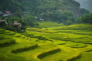 Pu Luong vietnam