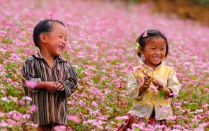 Janvier au Vietnam: Le moment parfait pour partir