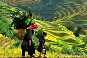 Sapa-y-linh-ho-lao-chai-ta-van