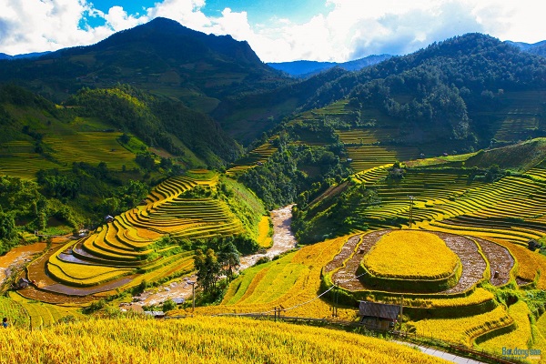Mu Cang Chai – Trekking – La Pan Tan (B. L. D)
