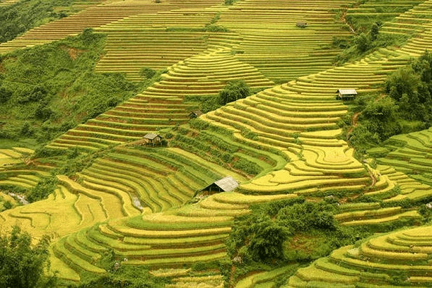 Lao Cai – Village de Nam Cang – Sapa (B. L)