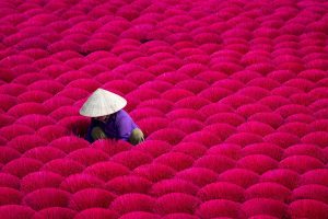 Woman in a conical hat surrounded by colorful bundles of incense working in the Quang Phu Cau Incense Village in Hanoi, Vietnam