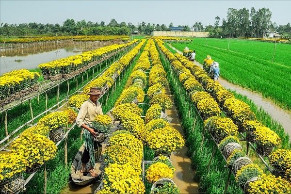 Can Tho – Marché flottant de Cai Rang – Sa Dec – Saigon (B. L)