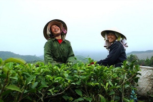Hanoi – Thai Nguyen – Ba Be (B. D)