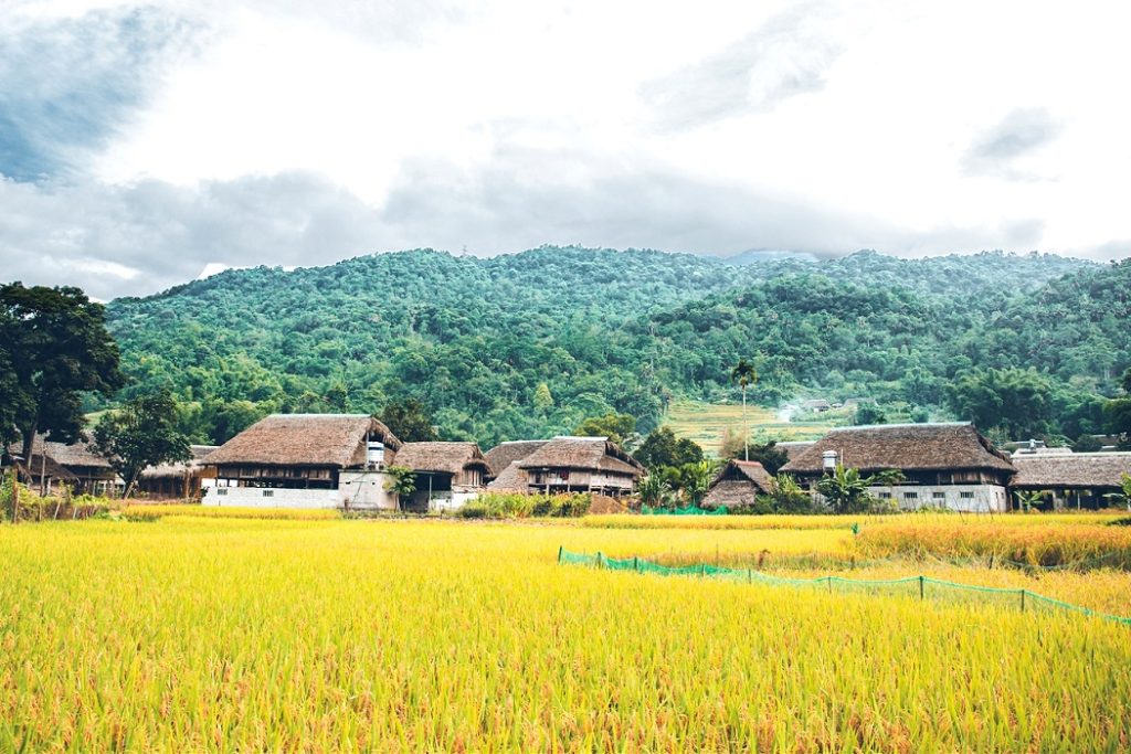 Lam Thuong – Ha Giang (B. D)