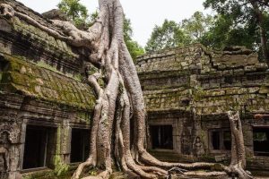 Angkor Wat Cambodge