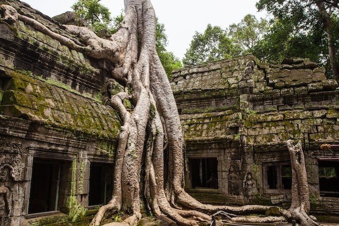 Siem Reap – Temple d’AngKor Thom – Temple d’Angkor Wat – Ta Prohm (B. L)