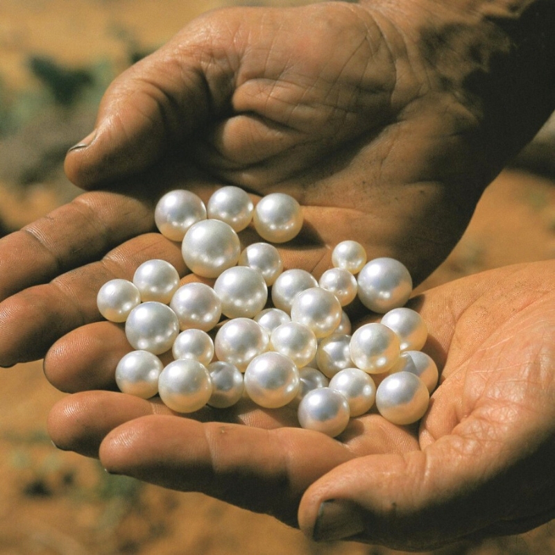 La culture de perles à Phu Quôc