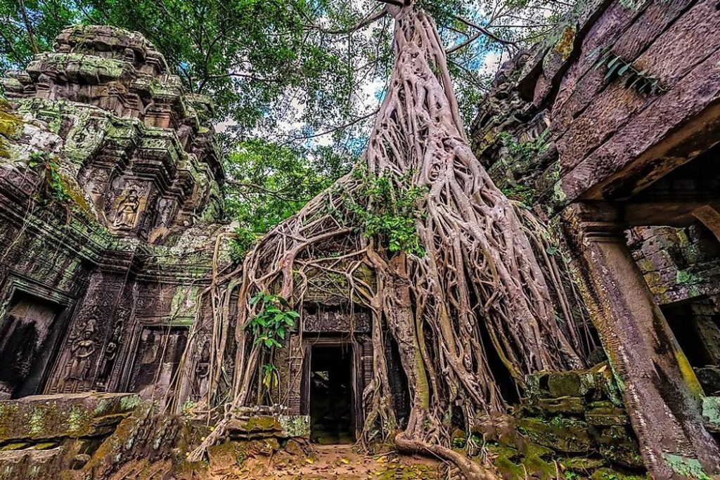 Siem Reap – Groupe de Rolous et Petit circuit – Ta Prohm (B. L)