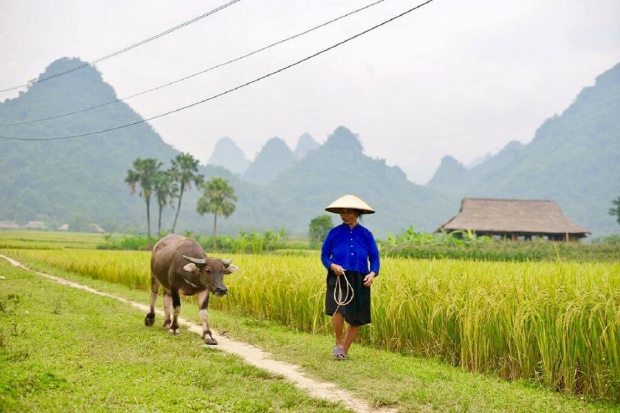 lam thuong vietnam voyage