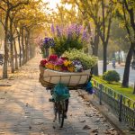 printemps a hanoi