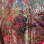 tet au vietnam