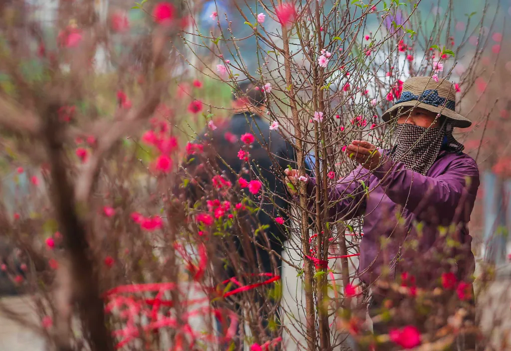tet au vietnam