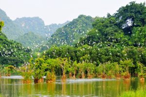 thung nham ninh binh