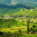 Bandarawela - Trekking Sri Lanka voyage