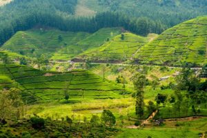 Bandarawela - Trekking Sri Lanka voyage