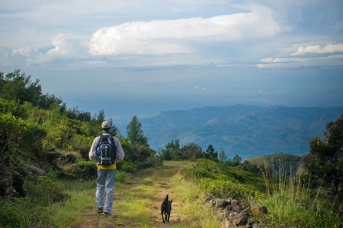 Bandarawela-Trekking