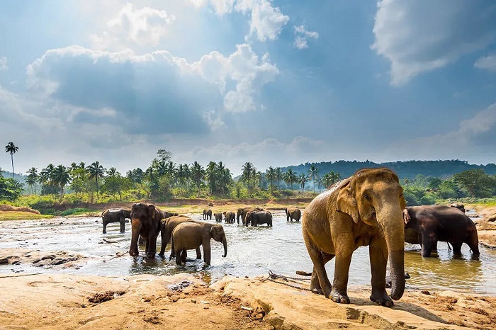 Kegalle voyage Sri Lanka