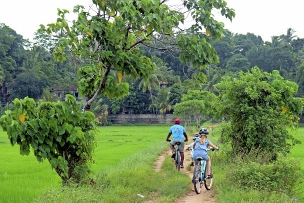 Polonnaruwa-Balade-en-velo