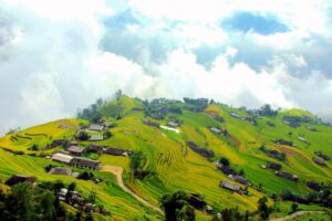 ban phung hoang su phi ha giang