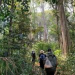 banlung-trekking-cambodge