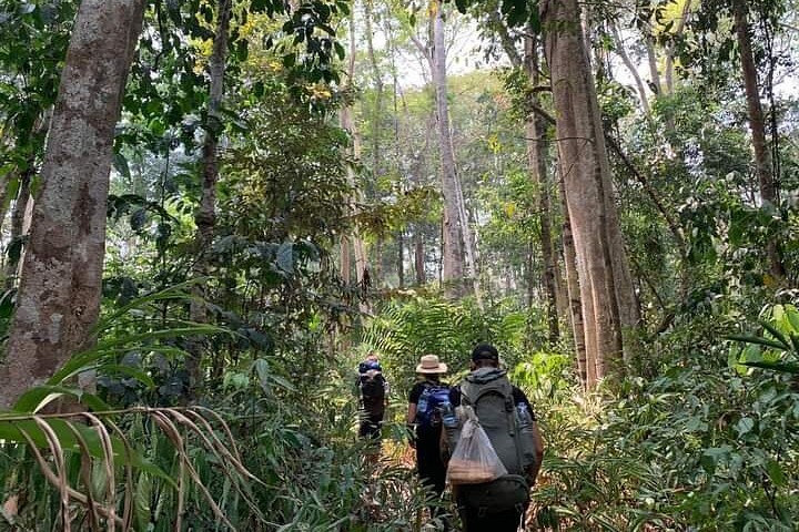 banlung-trekking-cambodge