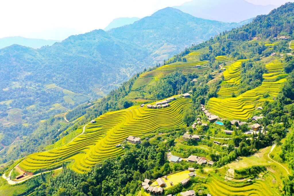 Lam Thuong – Hoang Su Phi (B. D)