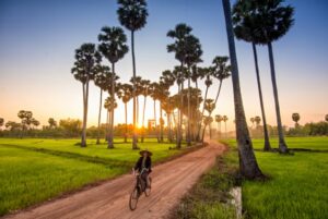 la-province-de-battambang-cambodge