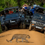 safari au sri lanka