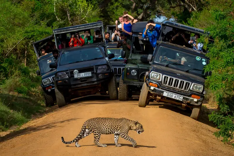 safari au sri lanka