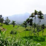 visiter le village Mediwaka Kandy Sri Lanka