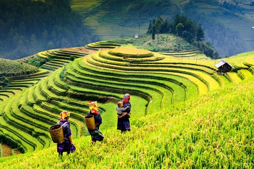 Nord Vietnam