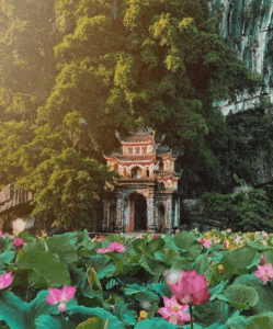 Que faire à Ninh Binh ? Top 6 des activités incontournables
